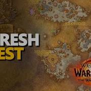 Cleansing The Void WoW Quest