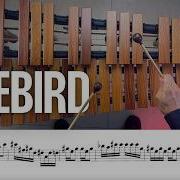 Orchestral Excerpts The Firebird Stravinsky Xylophone Sheet Mallets Xylophone Stravinsky