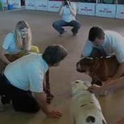Сравнение на ЛПП 29 05 11 Avi