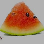 Ants Vs Watermelon