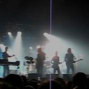 DEUS Roses