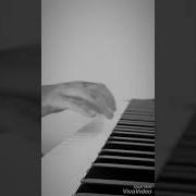 Ultimo Suona Al Pianoforte 7 3 Ultimo