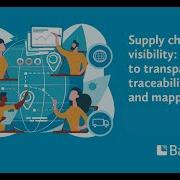 Supply Chain Visibility A Guide To Transparency Traceability And Mapping