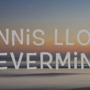 Dennis Lloyd Nevermind Lyrics