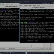 MCMEG TOPAS Code Installation