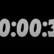 39 Second Timer