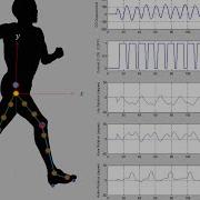 Gait Analysis System Using MATLAB