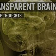Transparent Brain Visible Thoughts World Science Festival