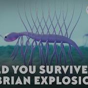 Could You Survive The Cambrian Explosion