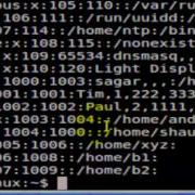 How To Read The Etc Passwd File In Linux Shell Terminal