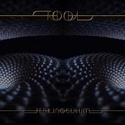 TOOL Descending Audio