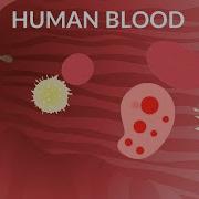 Human Blood Video Blood Components Blood Cells