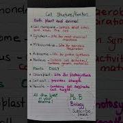 Cell Structures And Function GCSE BIology Notes