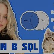Join в SQL простыми словами на котиках и собачках