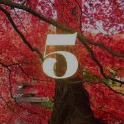 10 Second Countdown Timer No Music Silent