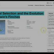 Natural Selection Lab Intro