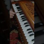How To Repair Your Harmonium In 10 Seconds