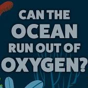 Can The Ocean Run Out Of Oxygen Kate Slabosky