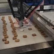 High Speed Spider Robot Hand Cookie Biscuit Sorting Feeding System