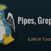 Pipes Grep Sort Commands Linux Tutorial 9