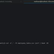 Learn Linux 31 Working With Cut Command