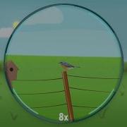 Understanding Binoculars Magnification And Stability