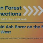 Urban Forest Connections Emerald Ash Borer On The Move In The West Full Webinar Q A