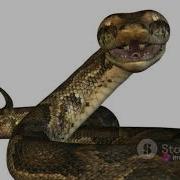Mastering Linear Models In Python Ridge LinearRegression And Lasso Explained