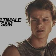 Multimale S M