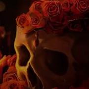 Beseech Devils Playting Danzing Cover Tradução And Lyrics
