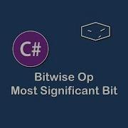 Bitwise Op Most Significant Bit In C