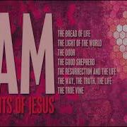 Jesus Is The Great I AM Part 7 I AM The True Vine
