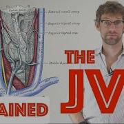 JVP Examination Explained Clinical Skills Deep Dive Medical School Revision Dr Gill
