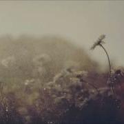 Liquid Memoirs Stories Part I