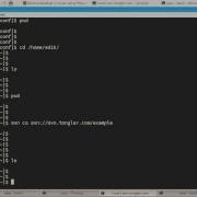 SVN Quick Start