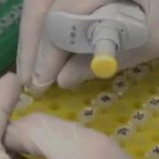 Multiplex PCR And Reverse Line Blot Hybridization Assay MPCR RLB Protocol