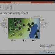 Exploratory Methods For Point Patterns