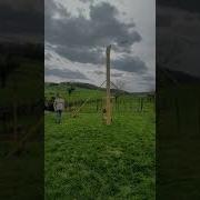 Looping Pendulum XXL