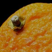 Satisfying Macro Video Everyday Objects In Macro 1