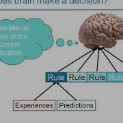 NSF Health Sciences Webinar Human Error Prevention NSF International