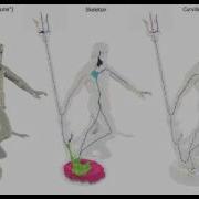 Results Of Skeletonization Algorithm