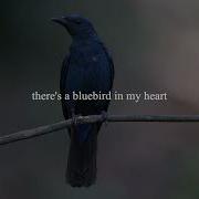 Bluebird By Charles Bukowski