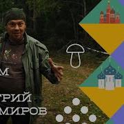 Как я стал экскурсоводом в необычном проекте Гидом буду