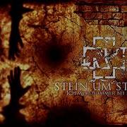 Rammstein Stein Um Stein Instrumental Cover