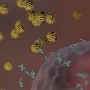 Allergic Reactions Or Immediate Hypersensitivity