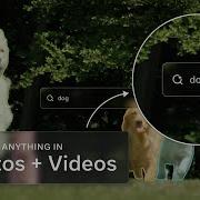 Introducing Meta Segment Anything Model 3 SAM 3 Unified Detection Segmentation Tracking