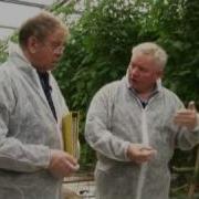 Linear Programming Tomato Farmer 1 3 METAL Film 4 04a