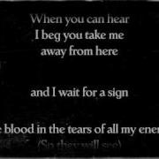 Demon Hunter Blood In The Tears