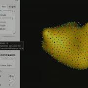 ShapeWorks Left Atrium Use Case Single Scale