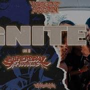 IGNITE LIVE SUPERBOWL OF HARDCORE FEST 2025 4K FULL SET MULTI CAM 28 06 2025